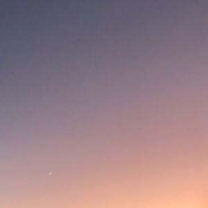 Meet your Posher, Holly